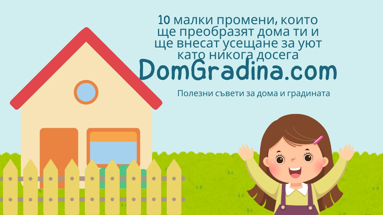 Есенни грижи за градината: 7 стъпки към здрави растения и плодородна пролет